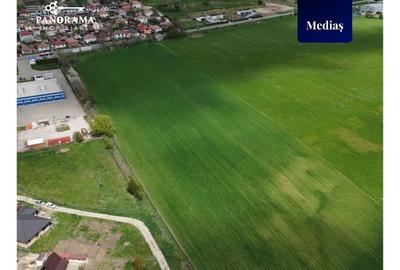 Teren intravilan de 10300 mp de vânzare Mediaș - 4