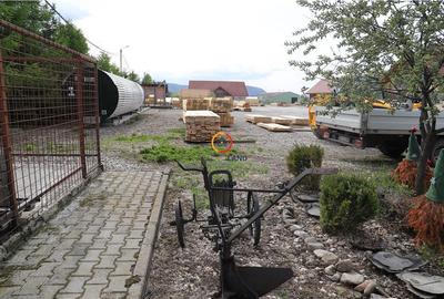Constructii si teren  intravilan18.000 mp - 11