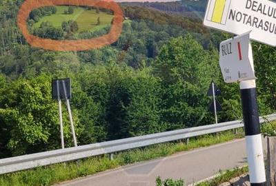 Teren 130000 mp extravilan, faneata si padure, Munteni - Bulz, Negreni - 7