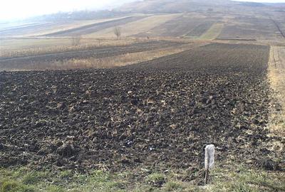 Teren Construcții intravilan de 5515 mp, în Sopor