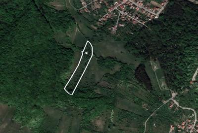 TEREN INTRAVILAN CABANA SI DEPOZIT DE UNELTE - 9