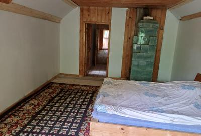 Vrancea - Nistoresti ! Vanzare ! Vila cu personalitate si potential turistic ! - 19