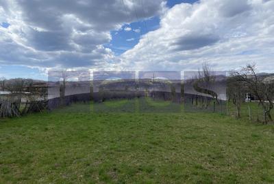 Teren Construcții intravilan de 14200 mp, în Berevoești