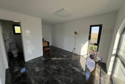 Spatiu comercial si 2 apartamente - 3