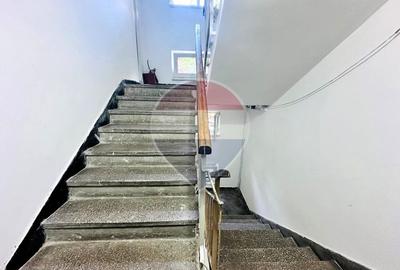 Apartament Renovat si Mobilat, Etaj 2/4, Str. Argeselu - De Inchiriat - 12