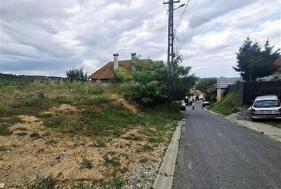 Teren intravilan de vanzare Saliste - 7