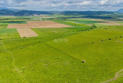 Teren de investiție în zona Tohanul Nou - Bran  5.800 mp - 15