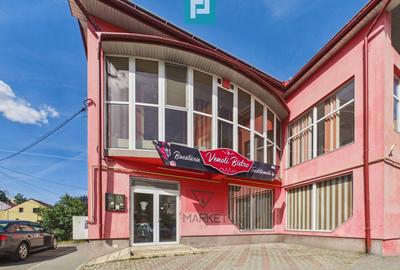 Centru comercial P+1 de închiriat, zona Vlaicu - 1