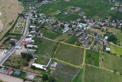 Teren de vanzare, 7425mp,  Unirea Odobesti - Extravilan - 3