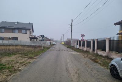 Vanzare Teren construibil 1 Decembrie Ilfov - 3