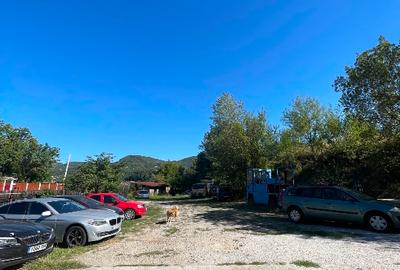 Teren constructii intravilan 3600mp Morilor - 5