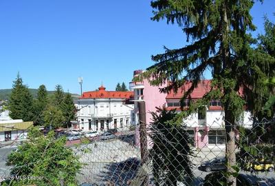 Curtea de Arges - Ultracentral - Casa autentica 180 mp, Teren 1336 mp - 14