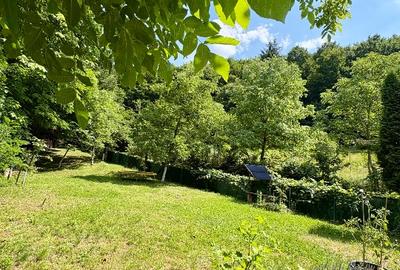 Casă în Pădure pe Valea Borcutului – 5 min de oraș | Direct Proprietar - 9