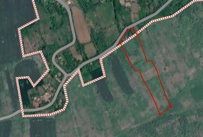 Casă bătrâneasca 1009 mp+ extravilan (6000 mp)de vânzare în satul Malumnic - 4