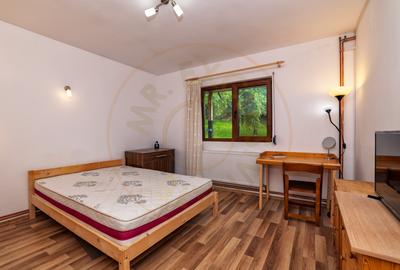 Casa moderna si casa bunicii + 6300 mp teren,Oaza autentica in Corbi Arges- - 7