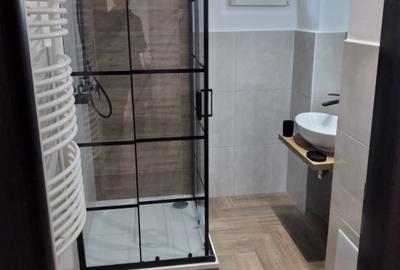 Dorobanti, Iancu de Hunedoara, modern, renovat, central - 9