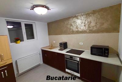 Vand Casa Cu Teren 460 MP - Marului Sector 3 - 10