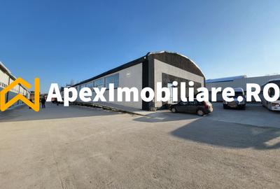 Hala Industriala Xenia – 1800 mp, Acces TIR, Parcare 50 Auto - 3