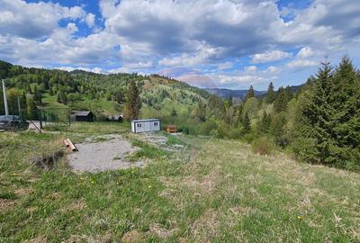 Teren 4048mp Campulung Moldovenesc, Strada Izvorul Alb, Suceava - 10