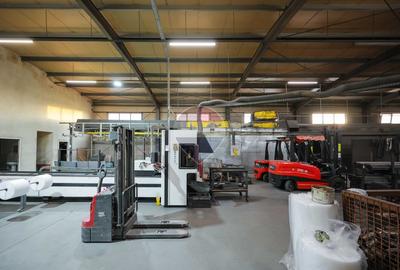 Hală în parc industrial Borș 1, teren 2.903 mp, de vânzare - 33