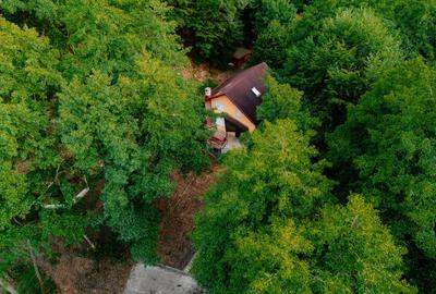 Casă de vacanță de vânzare în Drăganu, Argeș + teren 1.292mp - 26