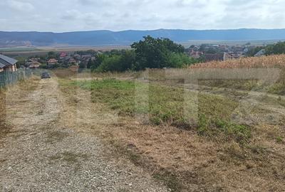 Teren Construcții intravilan de 2358 mp, în Luna