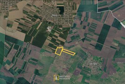 Teren extravilan (pășune) de vânzare – Macea, județul Arad - 2