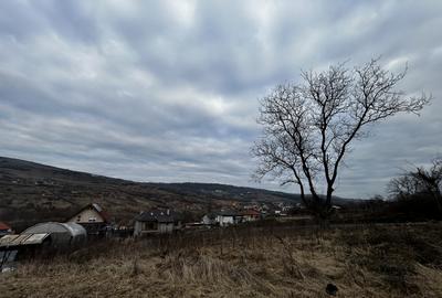 Teren Construcții intravilan de 480 mp, în Exterior Nord