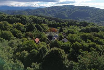 Casă in mijlocul naturii in orașul Câmpulung - 2