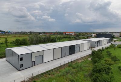 Showroom + hale depozitare centura Nord Chitila - 3