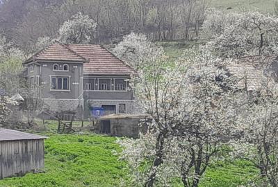 Casă individuală cu 2 camere în Vințu de Jos