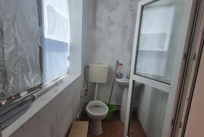 Lehliu gara casa - 7