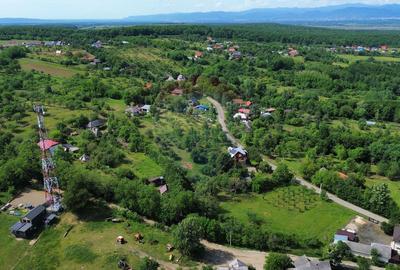 De vânzare cabană cu teren în zona Remetea Chioarului - 10
