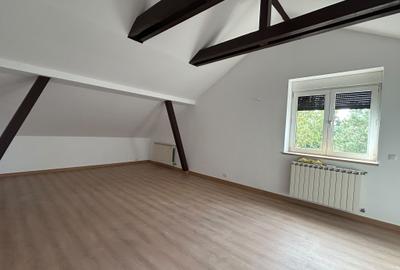 Casa Vila noua , lux  Iancu Nicolae Baneasa - Pipera de inchiriat - 21