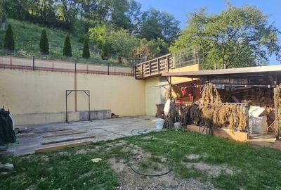 Vand casa traditionala renovata ,situata in Marginimea Sibiului ,in Orlat - 7