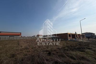 Teren Construcții intravilan de 600 mp, în Moșnița Nouă