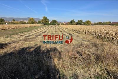 Teren de vanzare in Oarda la sosea cu toate utilitatile - 3