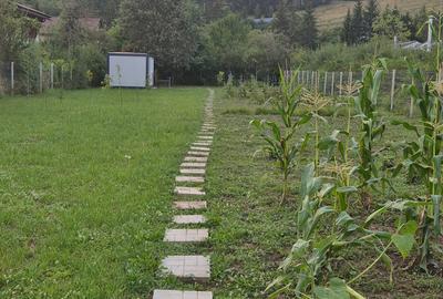 Teren constructii livada cu toate utilitatile - 6