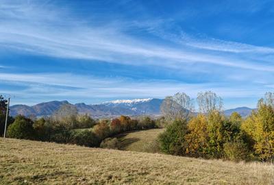 5.800 mp extravilan, Sohodol-Bran, retreat, cabane, off-grid ecoturism, panorama - 8
