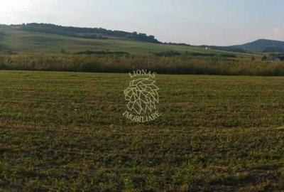 Teren agricol extravilan de 5500 mp, în Jelna