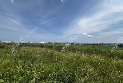 Teren intravilan de 6000 mp zona Industriala de Vest din Sibiu - 3