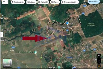 Teren Construcții extravilan de 7405 mp, în Moara Vlăsiei