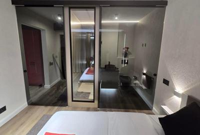 Victoriei, Veronica Micle - apartament 2 camere renovat de inchiriat. - 14