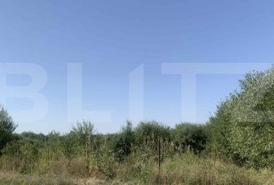 Teren Construcții intravilan de 7200 mp, în Exterior Est