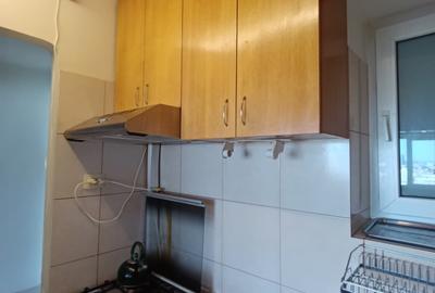 Inchiriere apartament cu 3 camere cu vedere la Sala Palatului - 14