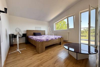 VEZI VIDEO! Vila cu 4 camere, 2 bai | P+M | Domnesti - Teghes - 9