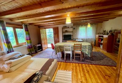 Inchiriem cabana in Calimanesti (Seaca), cu ponton la Olt, gradina - 7