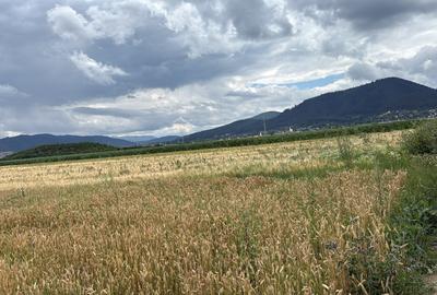 Teren agricol extravilan de 19600 mp, în Săcele