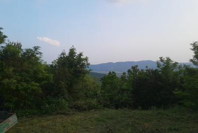 Casă bătrânească plus teren 9515 mp. Sălătrucel sat Serbănesti - 11