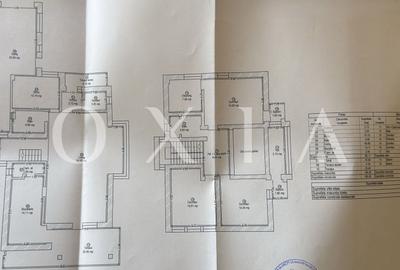 SX749 Dumbravita (Babel) - Individuala - Disponibila Imediat - 36